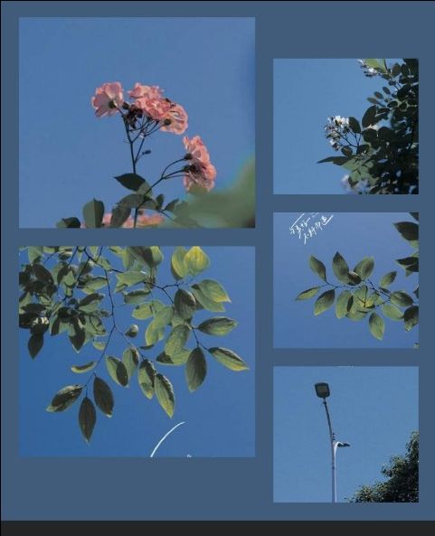 rất là ok nhe sách rất hay mọi người nên mua.