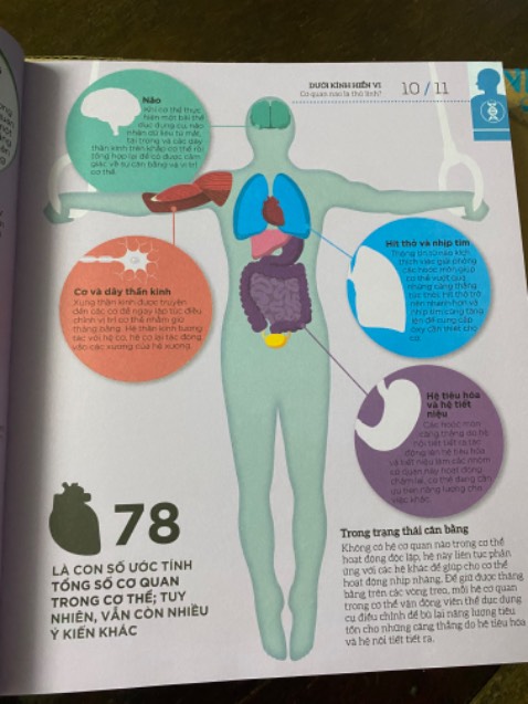 Mình mới nhận được và chỉ mới đọc vài trang đầu nhưng mình vô cùng ấn tượng với quyển sách này bởi nội dung vô cùng hấp dẫn, bổ ích, thu hút người đọc bằng những hình ảnh sinh động. Đây là quyển sách đầu tiên trong bộ sách này mà mình có được và mình sẽ cố gắng tìm đọc những quyển còn lại, vì đây thực sự là những quyển sách hay và cần thiết.