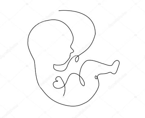 Ship nhanh, bọc cẩn thận, sản phẩm tốt