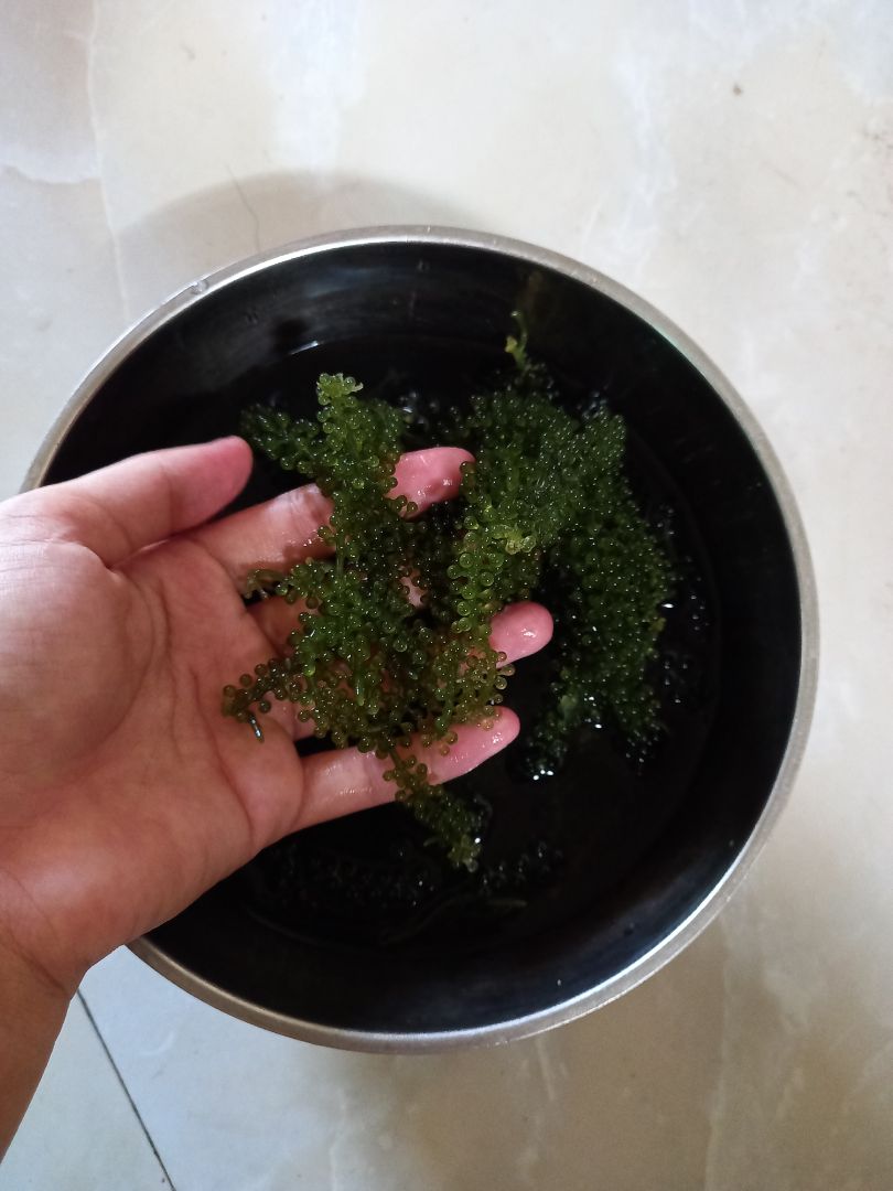 Đã nhận đc hàng rất hài lòng