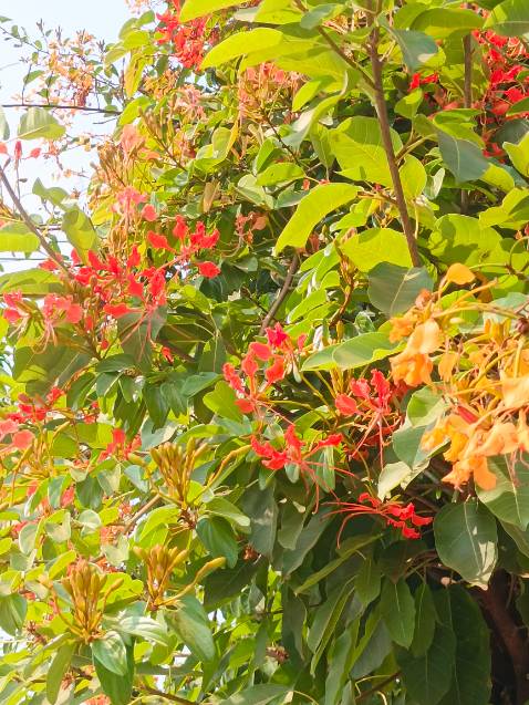 Cũng được nhưng hơi khó Sài chắc tại không biết Sài đúng sản phẩm đã đặc giao hàng cũng nhanh