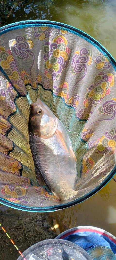 Hàng quá oke nhân viên giao hàng rất nhiệt tình và thân thiện cảm ơn shop🥰