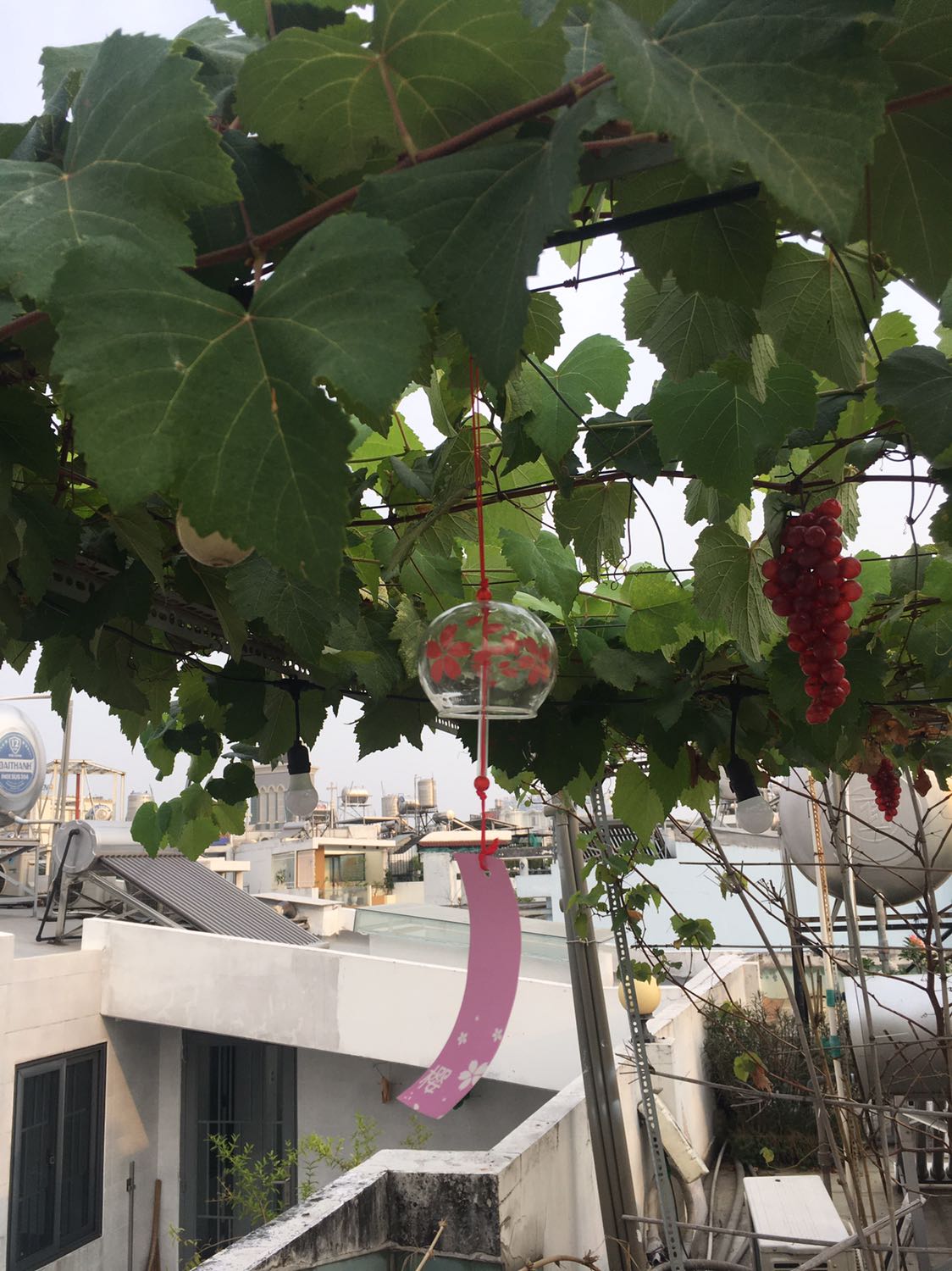 Chuông đẹp, nhưng tiếng chuông không trong như chuông kim loại