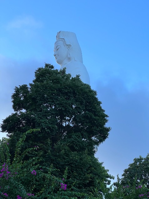 Chưa dùng, khó lắp đặt, không tiện lợi