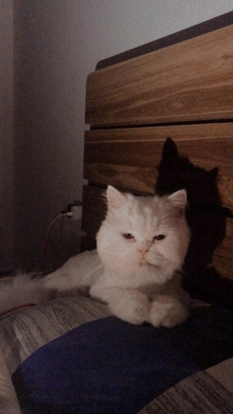 Giày đẹp giá sale tốt. Sp chính hãng. Thời gian giao bình thường. Thanks shop