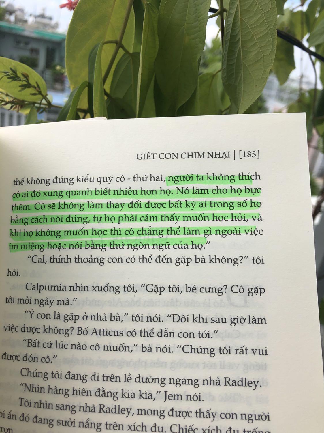 Mình đọc Giết con chim nhại với suy nghĩ đây là một tác phẩm kinh điển về nạn phân biệt chủng tộc cho người lớn. Đáp lại mình là một hành trình từ góc nhìn và suy nghĩ của Scout, những bài học mà cha Atticus muốn con mình khắc ghi. Giọng văn không hề mang tính vĩ mô, cường điệu dáng triết học mà rất đáng yêu, vui nhộn khi được Scout miêu tả. 
Tuyệt vời! Có những đoạn highlight hơn mà mình dành lại cho các bạn đọc trải nghiệm thay vì bị mình spoil ở đây.