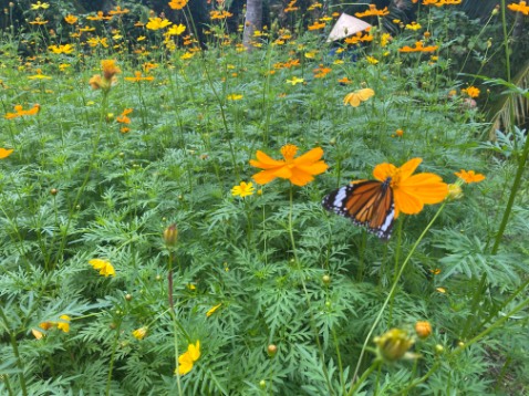 Đúng chính hãng
Tốt, nên mua
Chụp ảnh ok