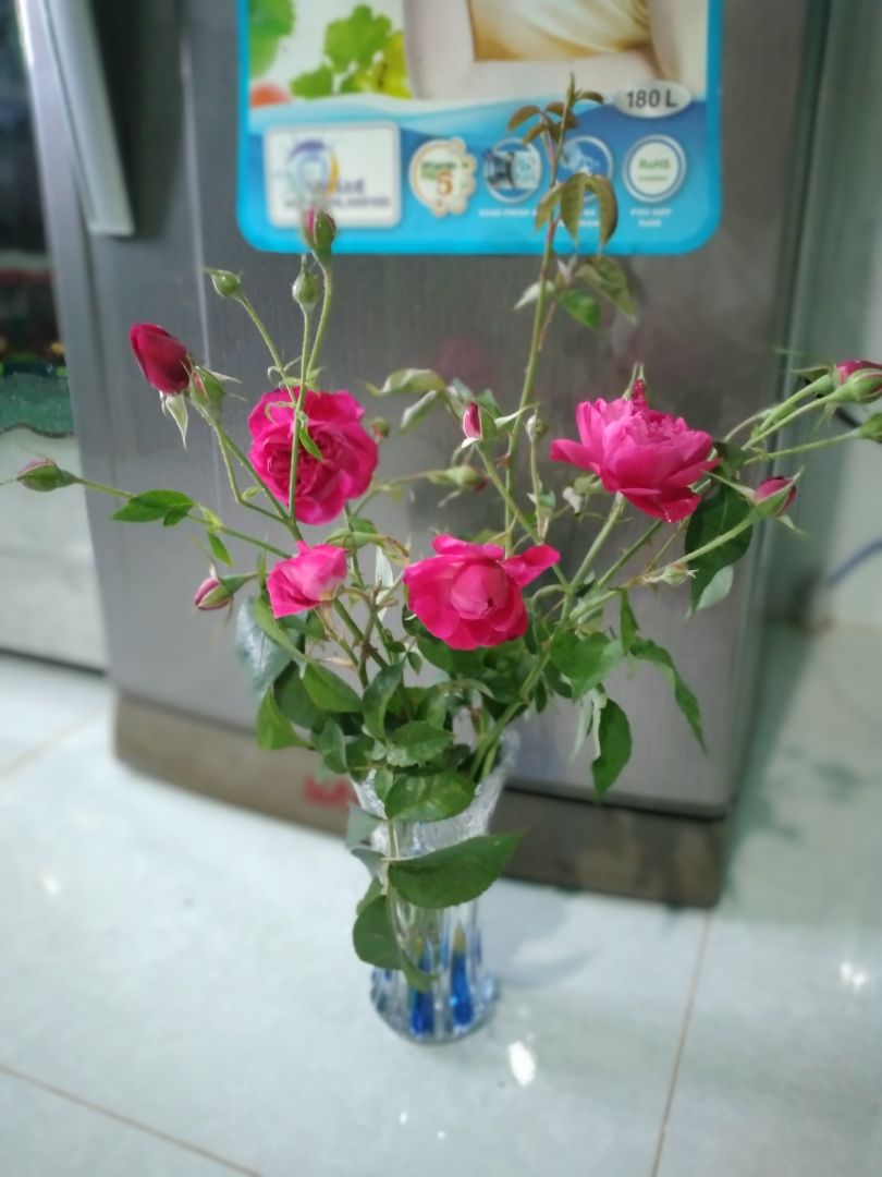 Viettel TB: Quy khach duoc mien phi xem phim, truyen hinh tren TV360 theo chuong trinh khuyen mai khi dang ky/ gia han thanh cong goi cuoc mobile internet. Quy khach vui long truy cap http://tv360.vn/ hoac tai ung dung tai http://tv360.vn/app tren smartphone, Smart TV, Tablet de su dung dich vu. Chi tiet LH 198 (0d). Tran trong.