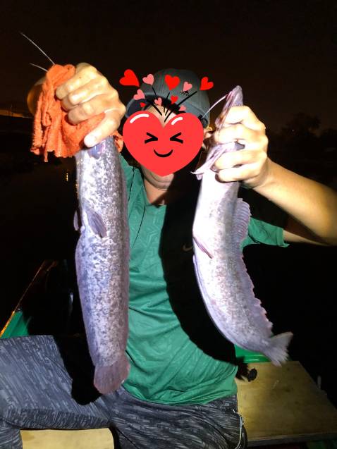 Hình ảnh chỉ mang tính chất minh họa tuyệt vời hgf