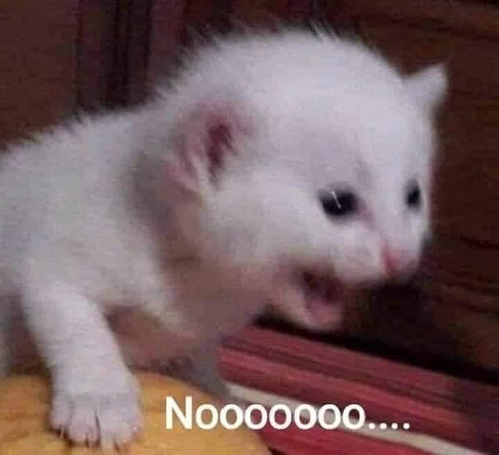 Ban đầu shop gửi bị thiếu bookmark sau khi mình phản hồi đã liên hệ và gửi lại cho mình, mặc dù chờ gần nửa tháng mới nhận được. Shop bán 77k+22k ship thì bằng luôn giá bìa :( vừa mua xong thì sale :) Thôi vẫn để 5 sao vì dịch vụ