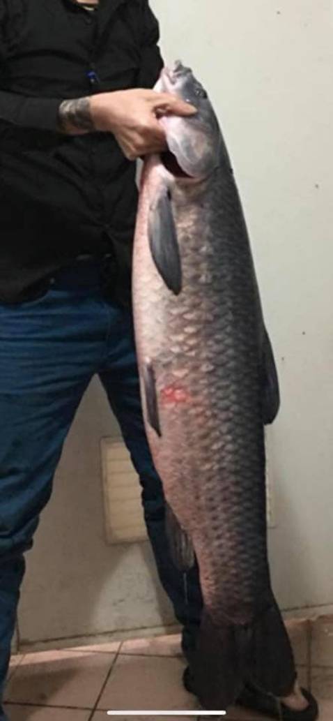 Giao nhanh đẹp giống hình đóng gói chưa cẩn thận lắm d gm mà và g hh