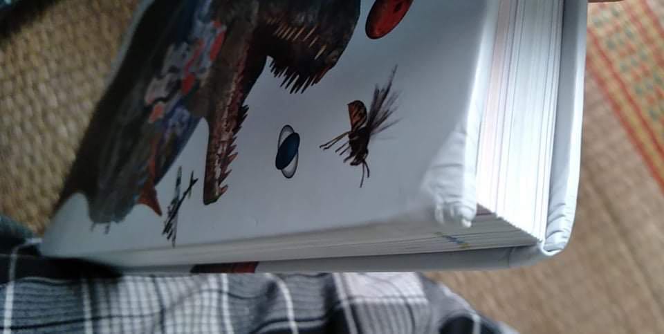 Quá nhiều vấn đề, sách gần 500k mà giao cho khách ko ra gì, gáy thì bẹp, trang sách thì sắp rách đến nơi rồi, quá tệ, mình mất niềm tin vào nhà bán và cả tiki vì kiểm duyệt không kĩ, thời gian giao lâu do dịch mà là quà tặng nên ko muốn mất thời gian đổi trả, mong shop và tiki có chính sách đền bù thoả đáng