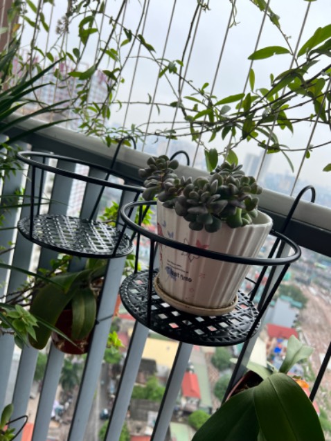 Hàng rất đẹp; chắc chắn