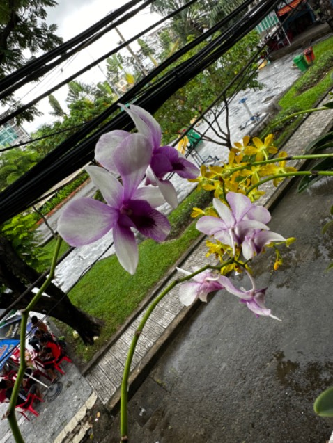 Combo khá ổn. Giảm lượng dầu cho thứuc ăn sau chiên