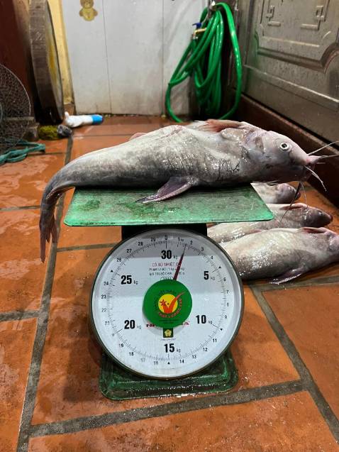 Đã nhận được hàng OK lắm