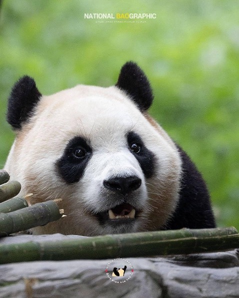 Cám ơn shop và tiki