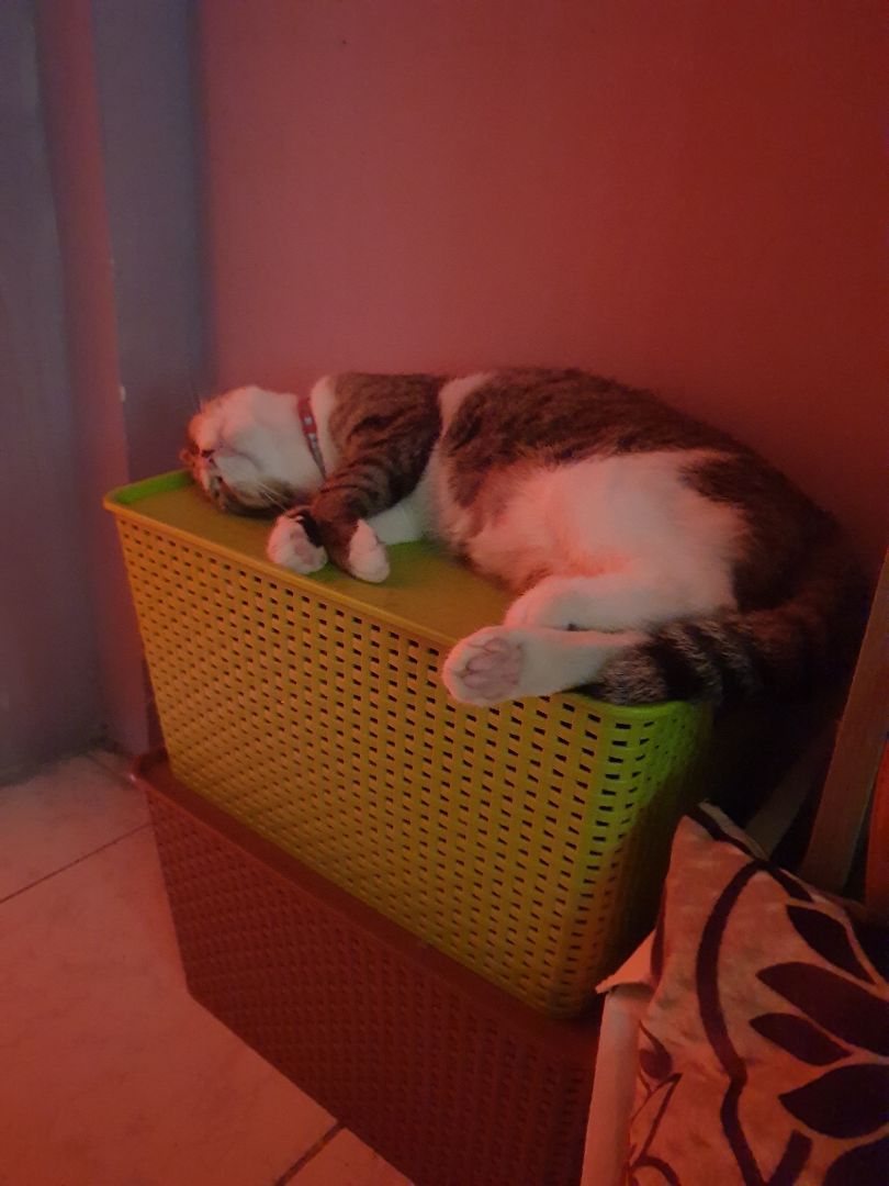 sách tiếng anh, giấy nhẹ xấu. nhìn sách phát chán. đọc ko hiểu hết vì *** tiếng anh nên để xó🥲