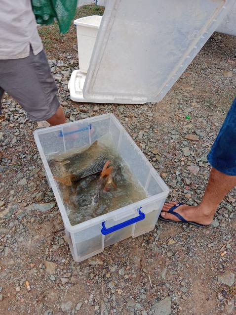 Giao hàng nhanh sản phẩm tối đánh giá 5 sao lần sau ủng hộ shop tiếp