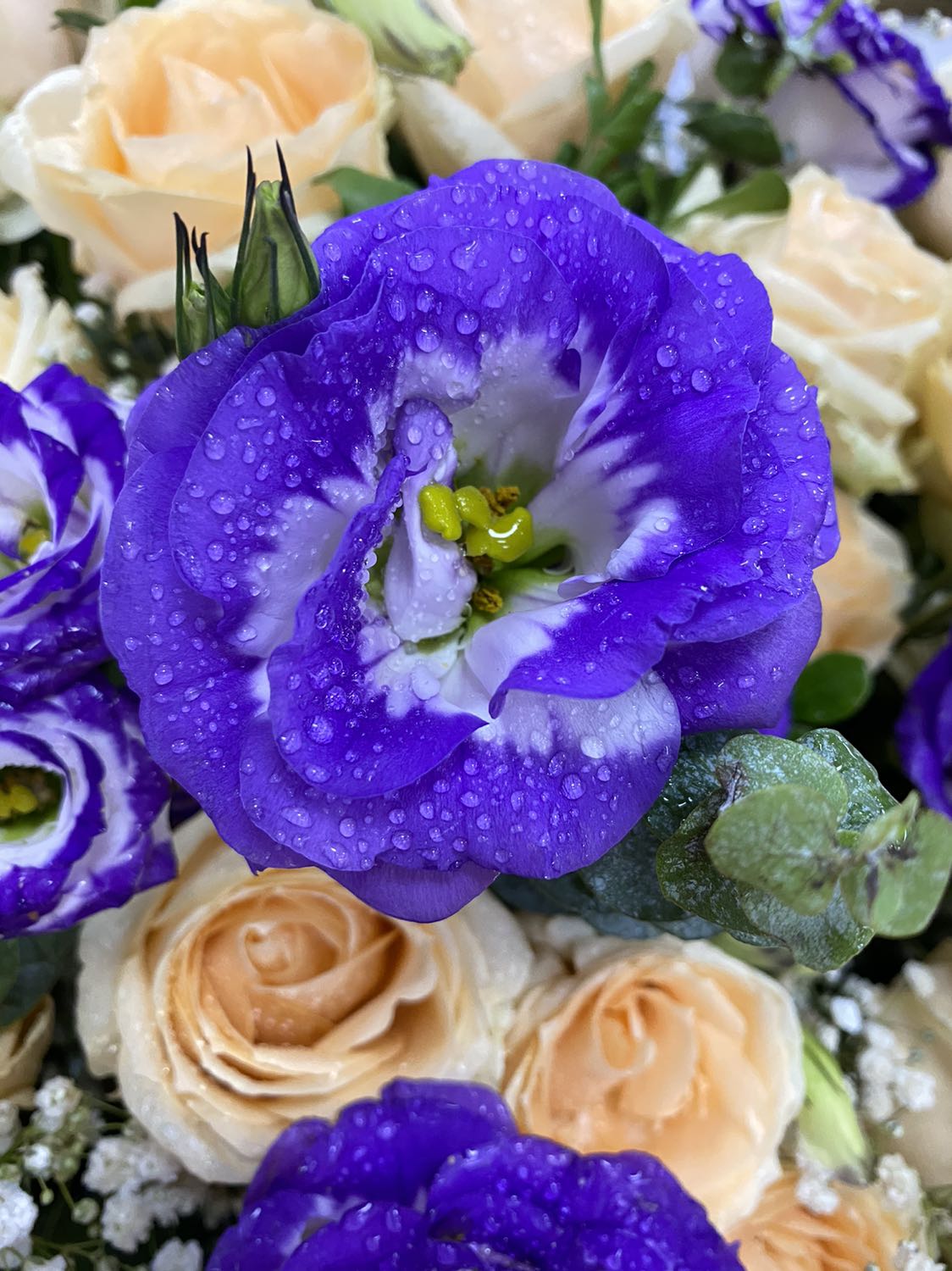 Sách ok có bọc túi bóng bên ngoài sách không có bụi sách còn khá mới nét in rõ ràng