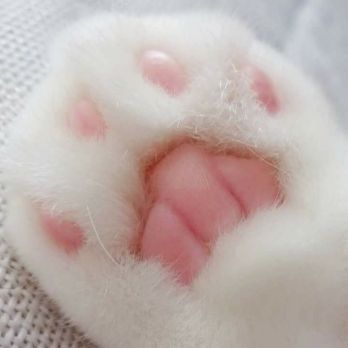 rộng quá zậy shop ơi,......sao em mặc vừa.
Buồn quá hà...