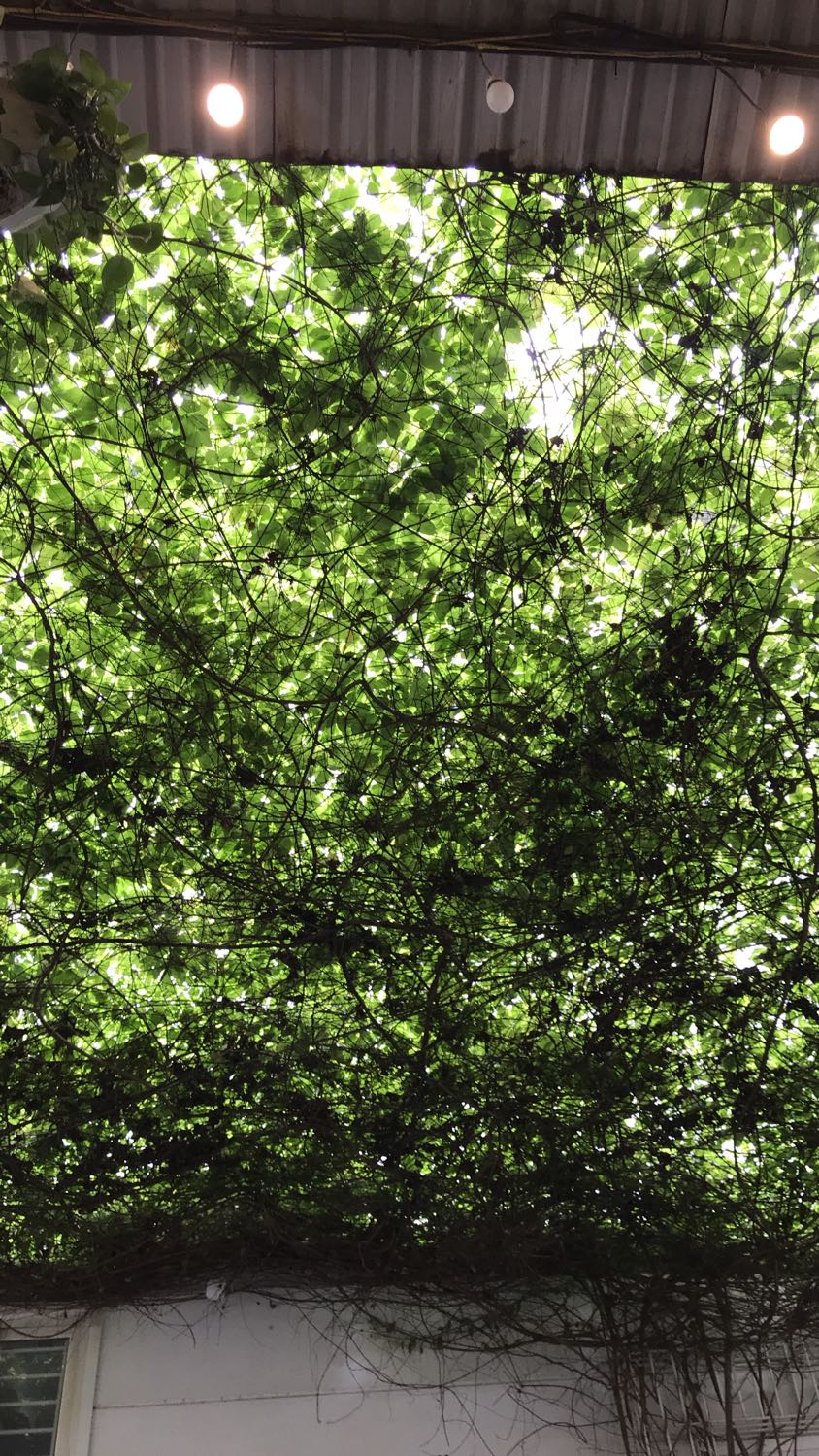 Giao nhanh. Bé mình rất thích sách. 
Cảm ơn shop và Tiki Giao nhanh. Bé mình rất thích sách. 
Cảm ơn shop và Tiki