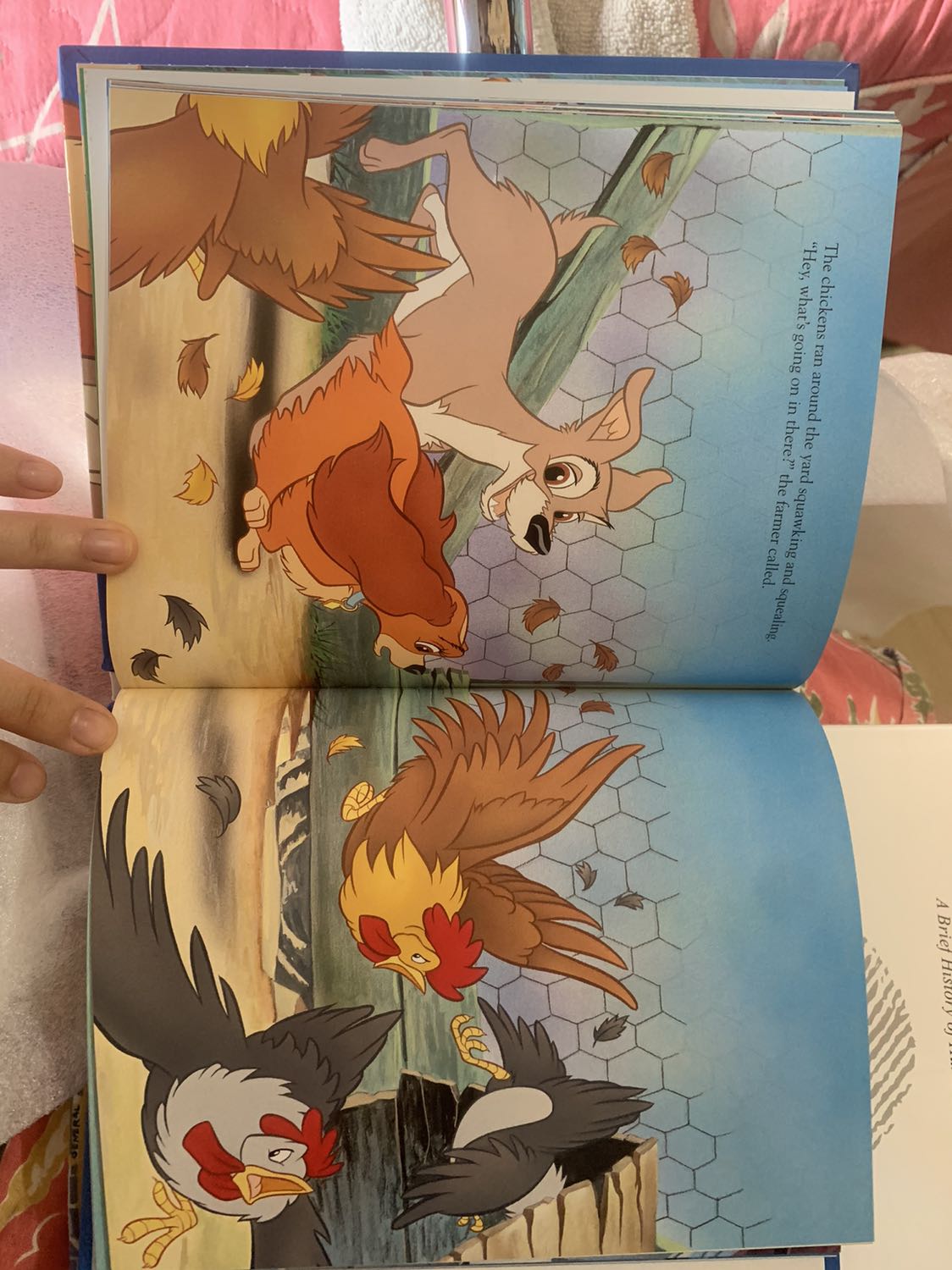 Sách đẹp, hình minh hoạ đẹp nhưng chữ hơi bé