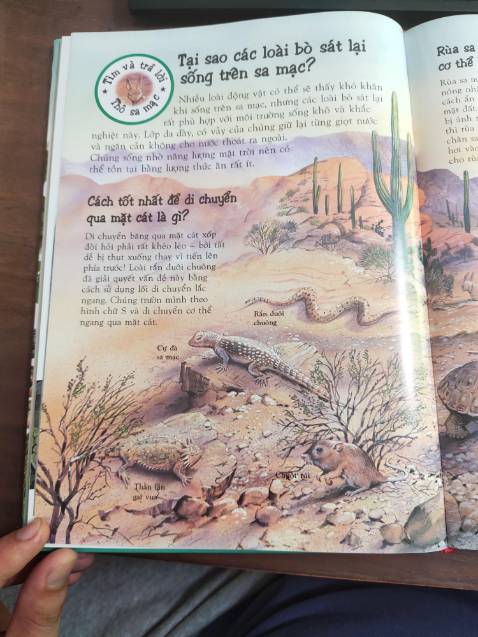 Tuyệt vời, nội dung hữu ích, trình bày đẹp.