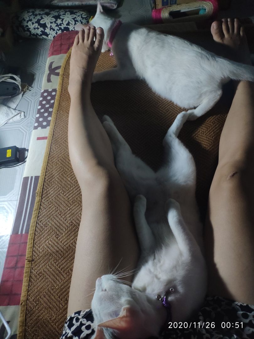 Shop và Tiki giao rất hài lòng, chất lượng thì ko phải nói nữa, loại này mấy bé nhà mình khoái ăn và ị bớt thúi hơn thiệt bà con ??