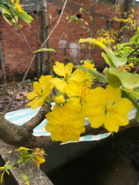 Sản phẩm tốt đã mua nhiều lần vẫn quay lại ủng hộ. Cảm ơn shop