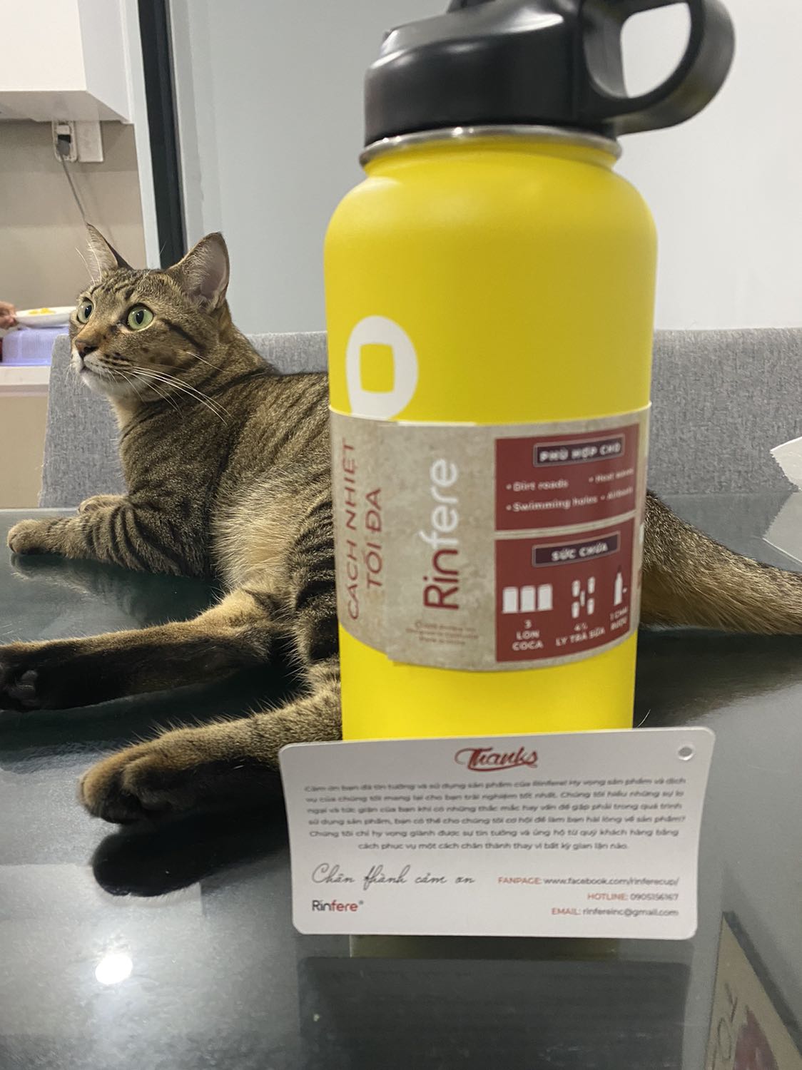 Sản phẩm thứ 2 mua của Rinfere. Ly nước trước khá bền. Không biết sản phẩm lần này thế nào 
Ưu điểm: giá hợp lý, thiết kế chắc chắn, tương đương với nhóm sản phẩm giá cao hơn 
Khuyết điểm : ống hút hơi nhỏ 
Kết luận : quá ổn so với tầm giá