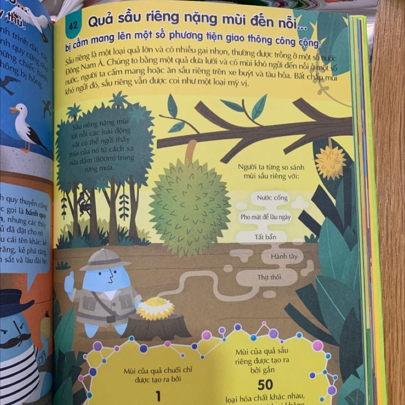 Sách dày dặn, bìa dày, mực in rõ nét, không bị nhoè. Hình ảnh đẹp mắt, nội dung đơn giản, chủ yếu cung cấp thông tin dạng sơ đồ, giúp bé đọc dễ dàng. Cũng có vài chỗ viết hơi khó hiểu do dùng từ chuyên ngành.