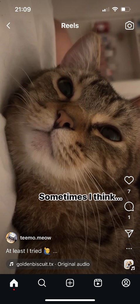 Tốt, quay nhẹ, sạch nước mà ko nát rau. Cảm ơn shop