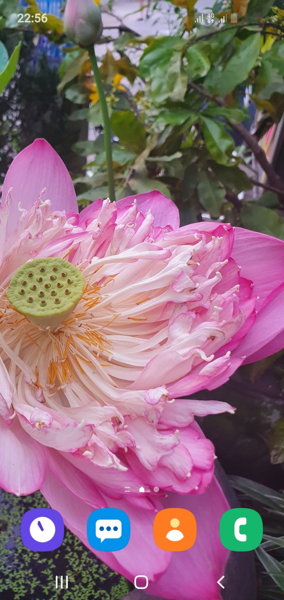 giao hàng nhanh như chớp. chất lượng thì phải sử dụng mới biết được giao hàng nhanh như chớp. chất lượng thì phải sử dụng mới biết được