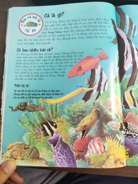 Tuyệt vời, nội dung hữu ích, trình bày đẹp.