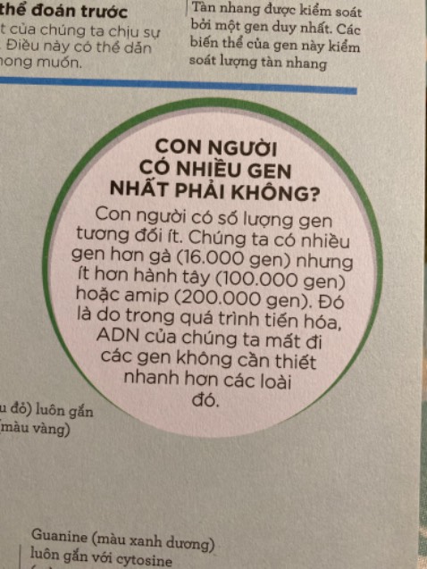 Mới đọc vài trang đầu đã thấy một chú thích vớ vẩn. Đã là một cuốn sách về khoa học thì phải đưa vào những nội dung khoa học có sự nghiên cứu chắc chắn còn không thì cứ bỏ ngỏ. Còn đưa 1 cái thuyết tiến hoá mơ hồ đầy sự tranh cãi (với niềm tin của mình thuyết này thật vớ vẩn, con người được cấu tạo cơ thể rất kỳ diệu, có tư duy, có lương tâm, có đức tin,… hoàn toàn khác biệt với phần còn lại, không thể tiến hoá từ con cá - con vượn) để giái đáp 1 câu hỏi khoa học thế này thì có phải ảnh hưởng đến toàn bộ nội dung của cuốn sách không, rồi người đọc sẽ hoài nghi về tính chính xác và cho rằng cuốn này chỉ viết dựa trên các thuyết thôi sao.