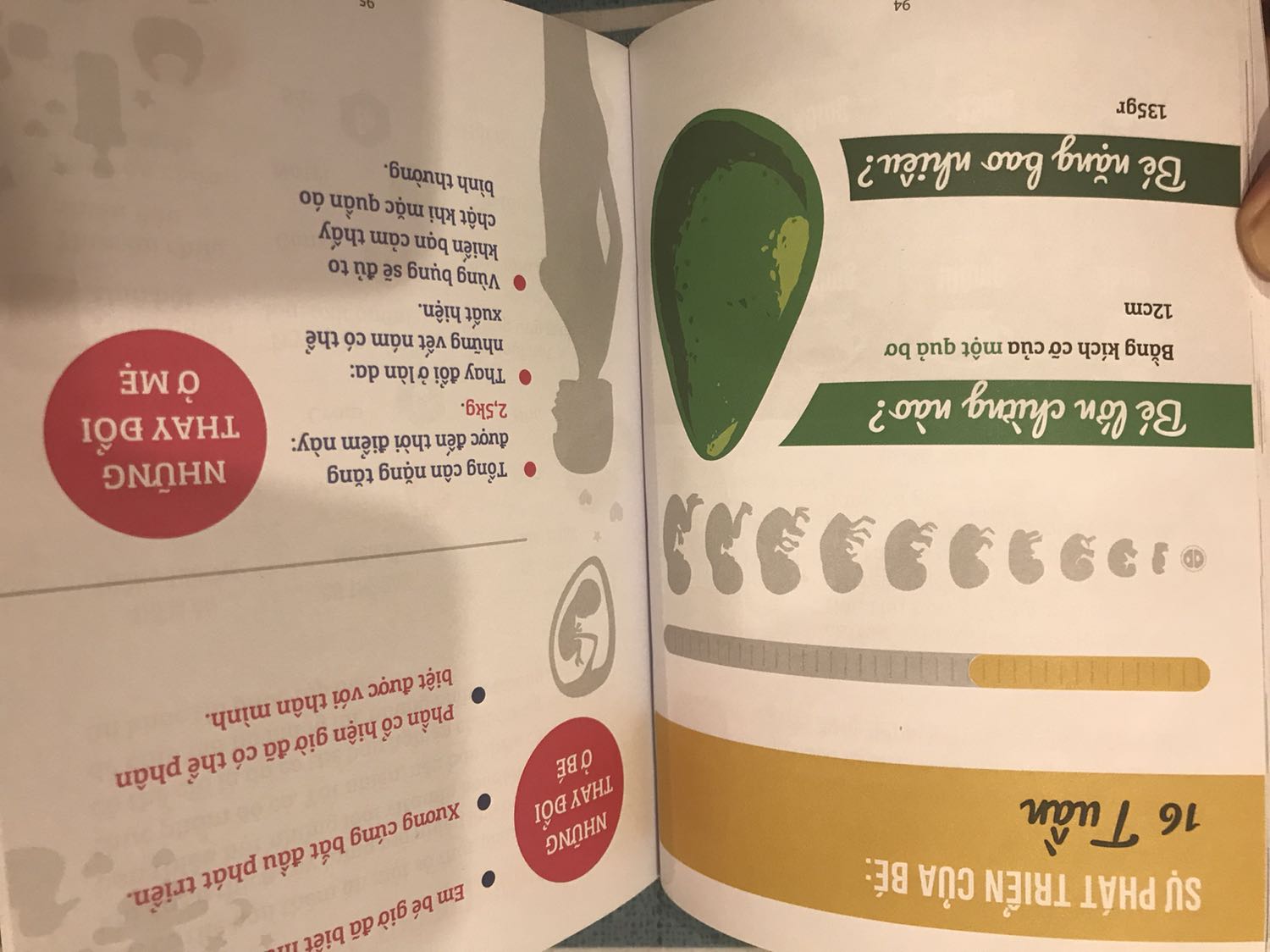 Có hình ảnh dễ thương, cung cấp nhiều kiến thức hay về dinh dưỡng, nghỉ ngơi,...vv