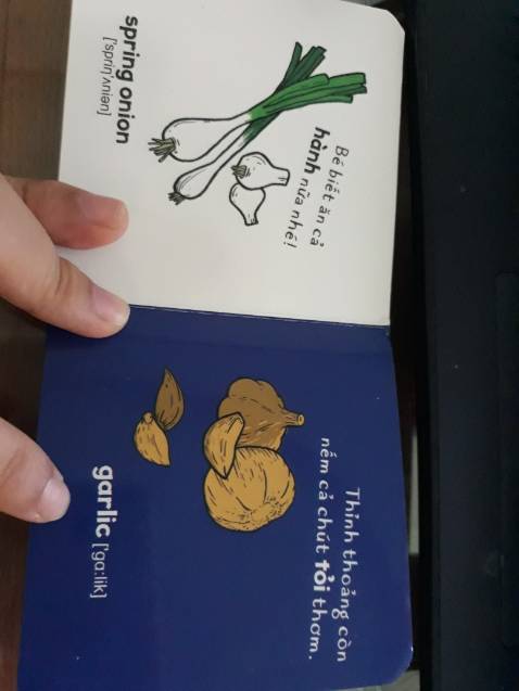 cuốn sách nhỏ, sách lớn tốt hơn, hoặc flashcard sẽ tương tác tốt hơn. Dạy tiếng Việt mình thấy còn k thích. Nếu ảnh thật , chất lượng cao, lớn sẽ đẹp và tả chi tiết hơn cho con được

Cá nhân thôi thì mình ghét nhất là tự gọi là sách song ngữ, chả thấy song ngữ gì cả, chỉ thấy đề tên bằng tiếng Anh với phiên âm thôi .