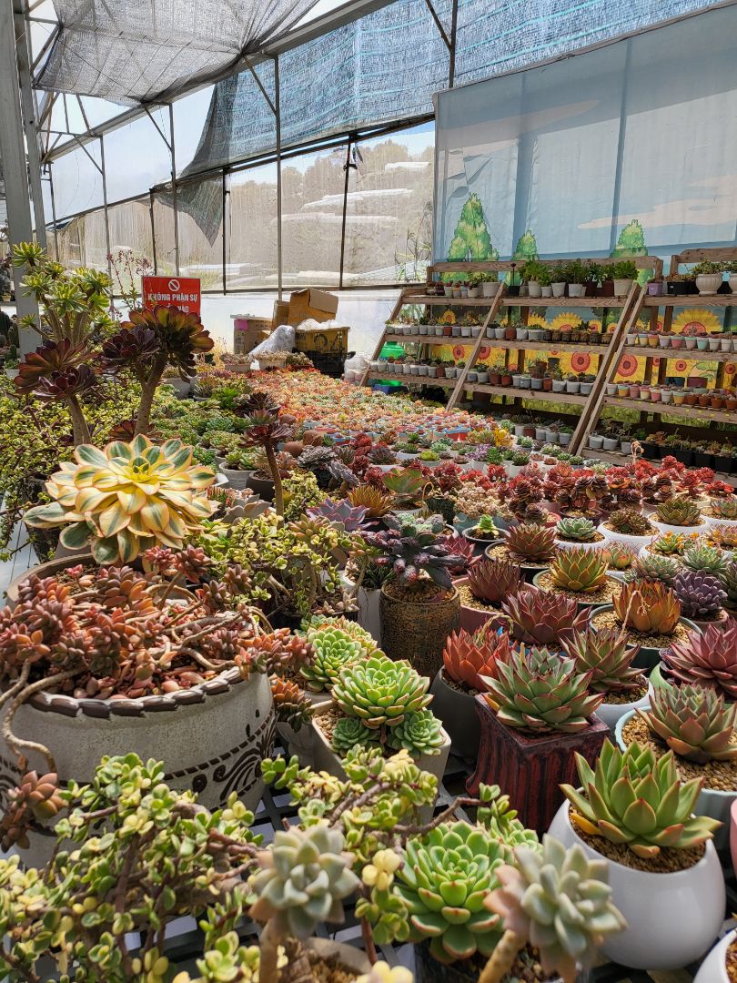 thấm hút tốt, chất lượng sản phẩm tốt