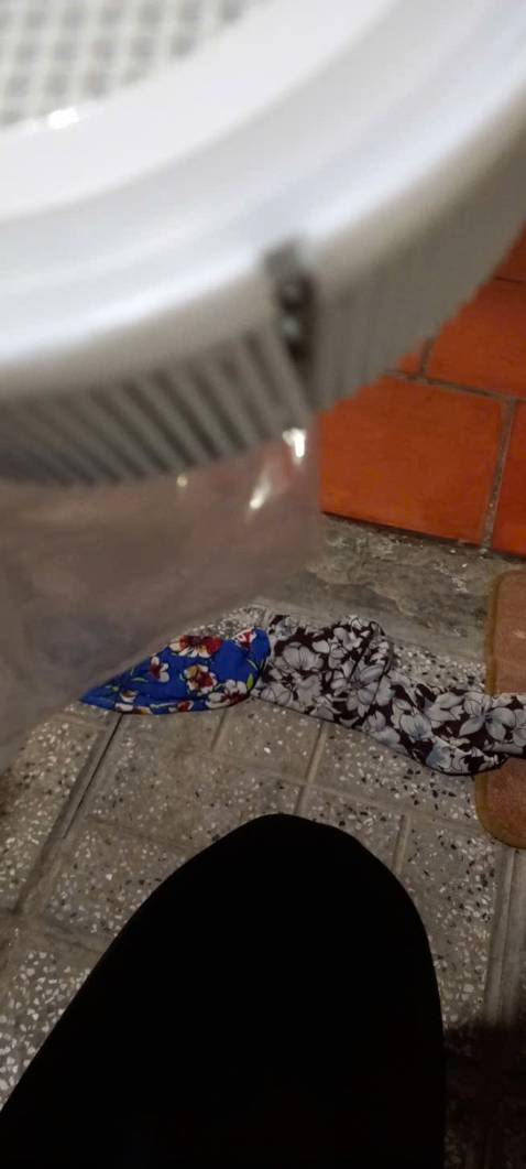 Nấm bị nứt, đá thì bị bể hộp đựng