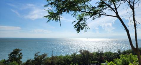 Giao hàng nhanh, đóng gói cẩn thận, dạng bịch nên tiết kiệm hơn. Cám ơn shop nhiều. Hình ảnh mang tính chất minh họa.