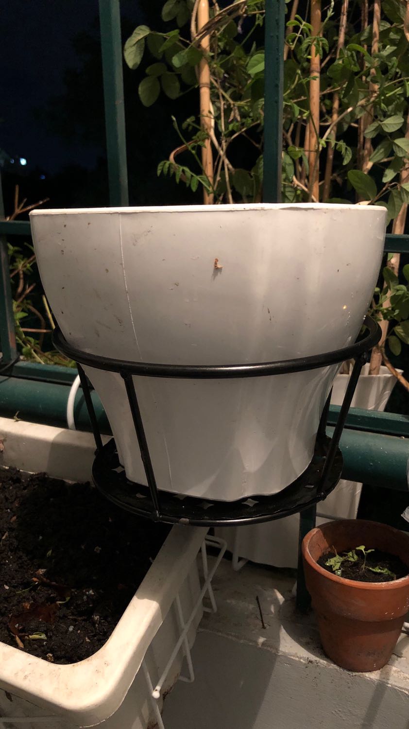 khung chậu chắc chắn, không có cảm giác bị lung lay khi đặt chậu cây lên, nhưng bề hơi nông, khoảng 10cm nên để chậu hơi cao có vẻ chênh vênh