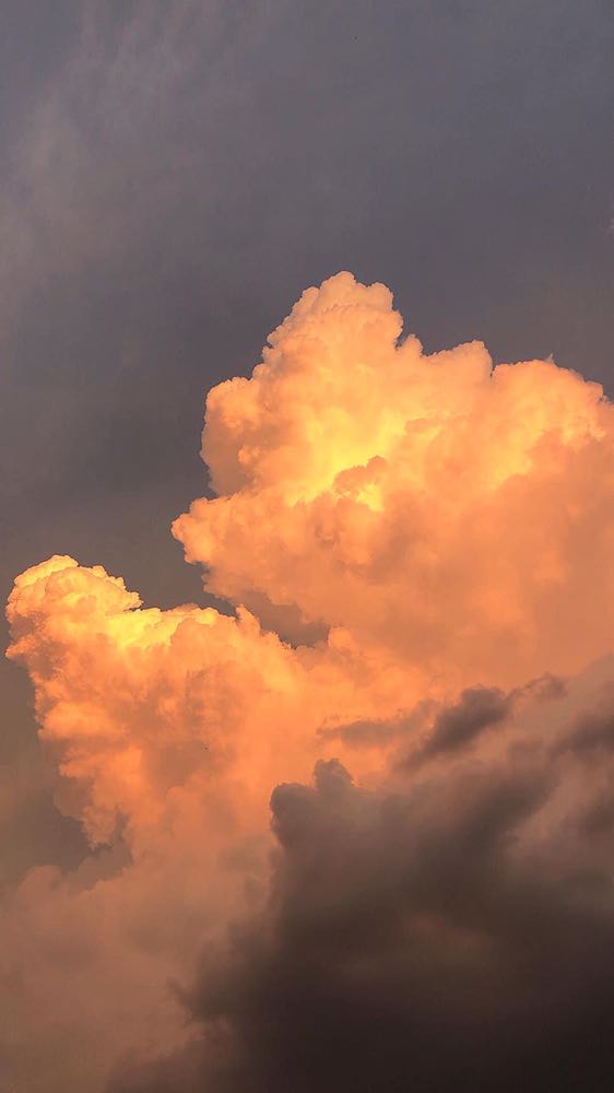 Sách được bao bọc kic tuy nhiên mỏng k phù hợp giá tiền 😂😂😂