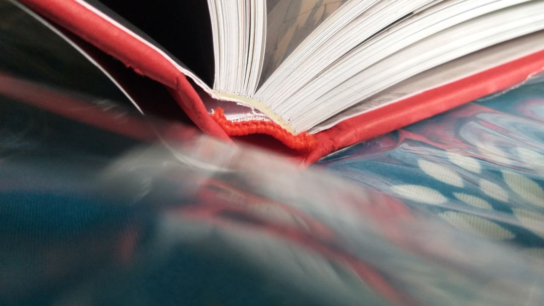 lúc đọc đánh giá thấy mng nói bị bung gáy sách dữ lắm, dính keo, cũng sợ mua nhưng sách nhận về có vẻ khá chắc, chưa bung nhiều. May quá!
Sau khi đọc vài ngày thì cũng bung rồi, đọc tới đâu bung keo ở phía trên tới đó, nhìn thấy rõ những trang đã đọc nó bị lệch đi so vs trang chưa đọc luôn, ai kỹ dữ lắm mới ko bị banh chành thôi. Thôi có lẽ là đặc thù nó vậy rồi nên đành chịu thôi, nhưng mong nxb trẻ hãy trau dồi thay đổi khả năng in ấn của mình thêm nha, 1 nxb lớn của đất nước mà làm ăn kỳ cục quá