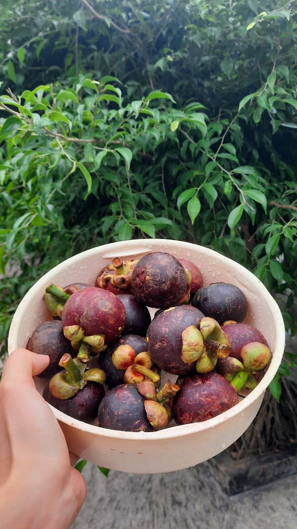 Bơm hút này của shop vô cùng  hữu ích vớiii mình , mình chọn mua sp của shop không hề uổng tí nào luôn, bơm rượu trong chum - bình  của nhà hay nước&  xăng đều được á, dùng rất okeeee luôn mọi người ạ! Giao hàng đubgs hẹn, nhân viênnn tư vấn nhiệt tìnhhh, đáng đồng tiềnnnn lắmm. Sẽ ủng hộ shop tiếpp