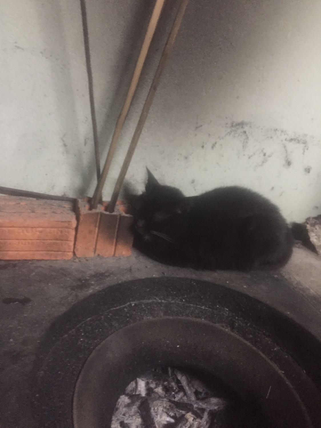 sản phẩm dao xịn lắm nha mọi người, dao bén, nhẹ và đẹp lắm nha