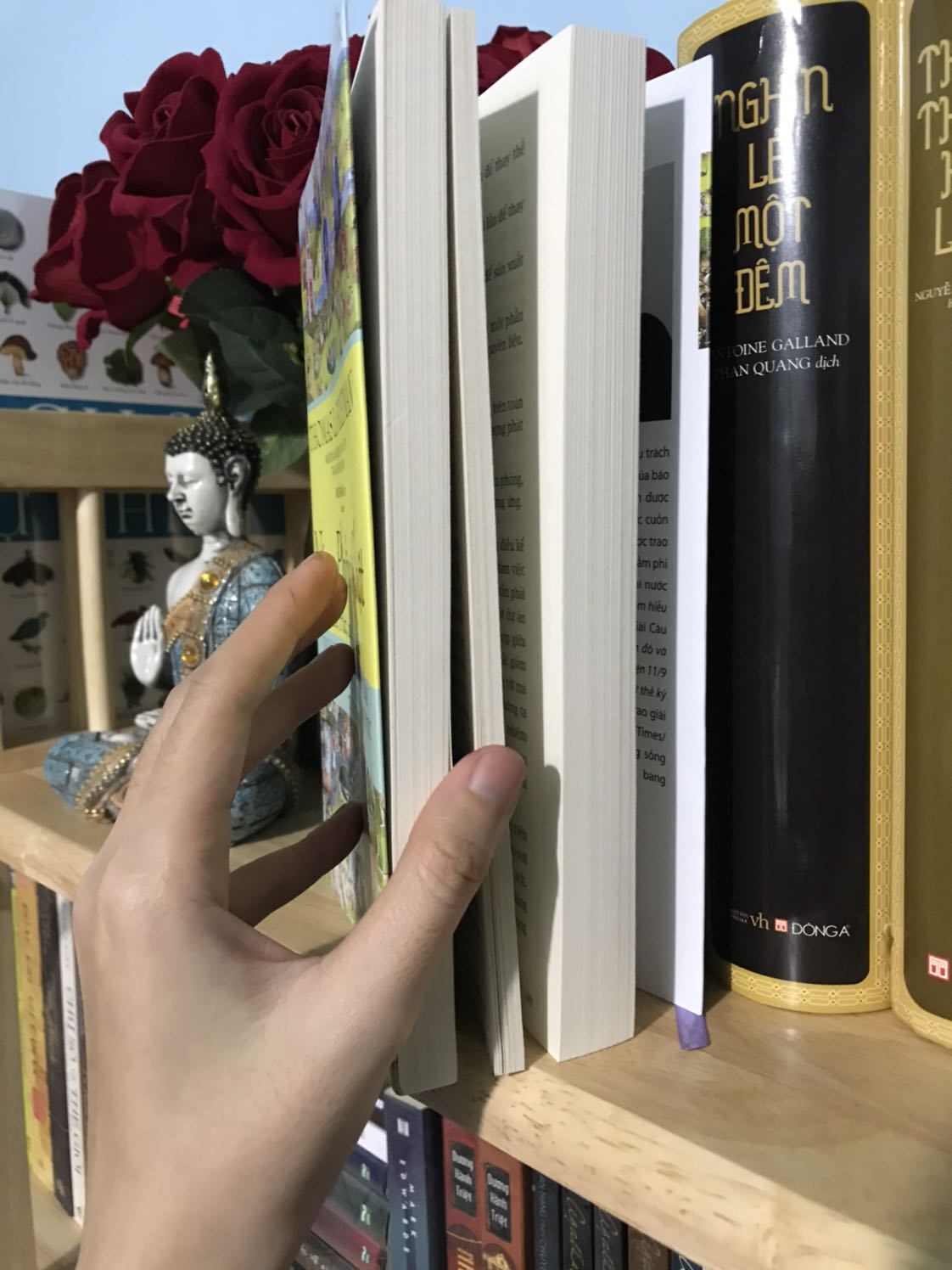 Săn sale nên chỉ còn hơn 60k cho quyển sách xịn này. Nội dung thì khỏi bàn rồi. Mọi ng nên mua nhé vì sách tổng hợp khá nhiều vấn đề như kinh tế môi trường của toàn cầu luôn