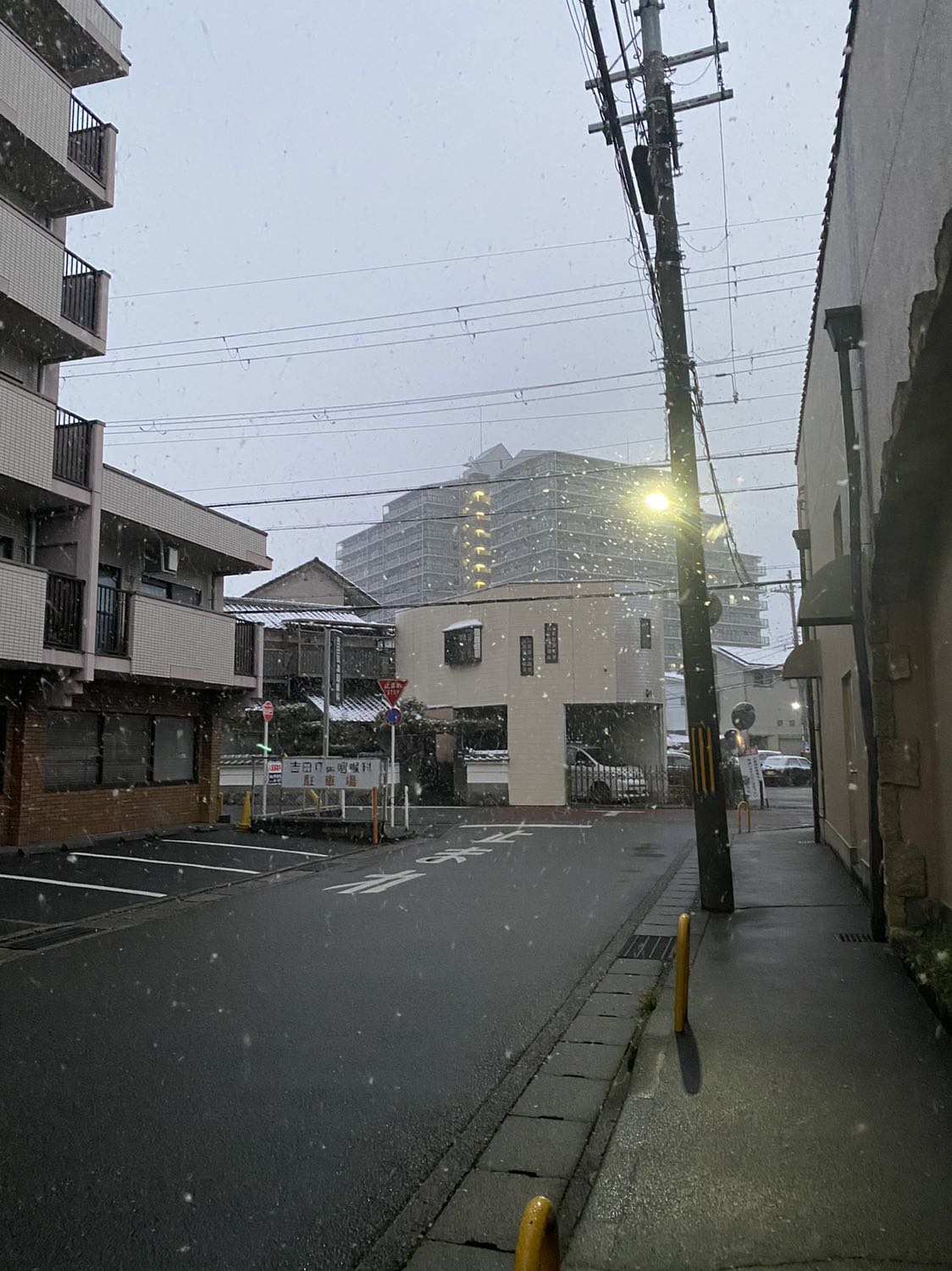 Hình thi giống như hình mua nhưng dán ko bám tường