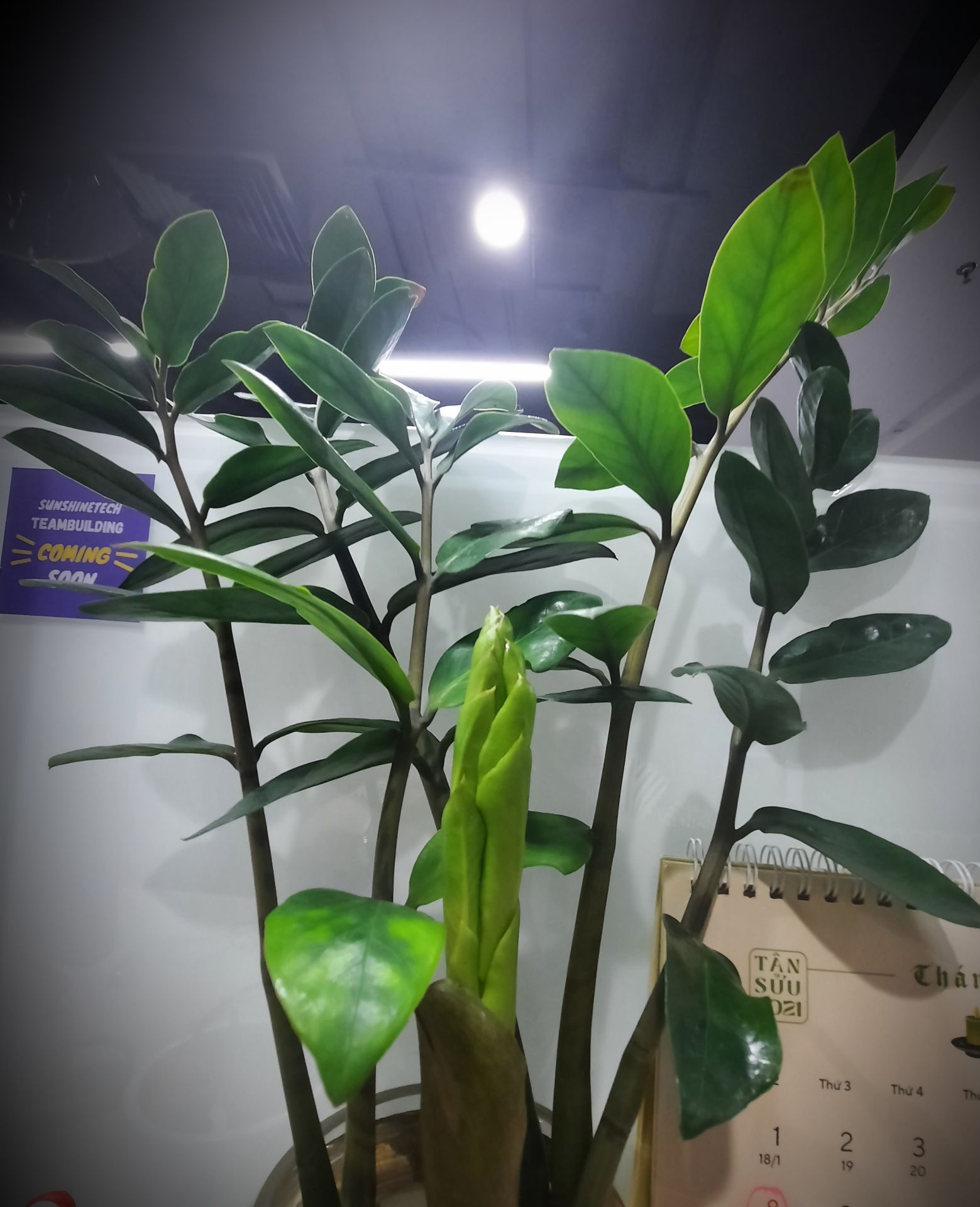 bé nhà mình rất thích, sách đẹp, chất lượng