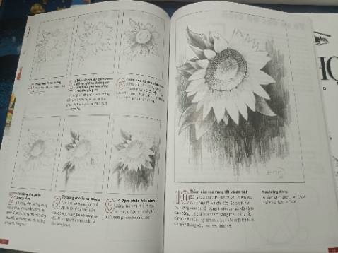 Sách hướng dẫn đầy về dựng hình, những bạn mới học vẽ nên mua xem qua