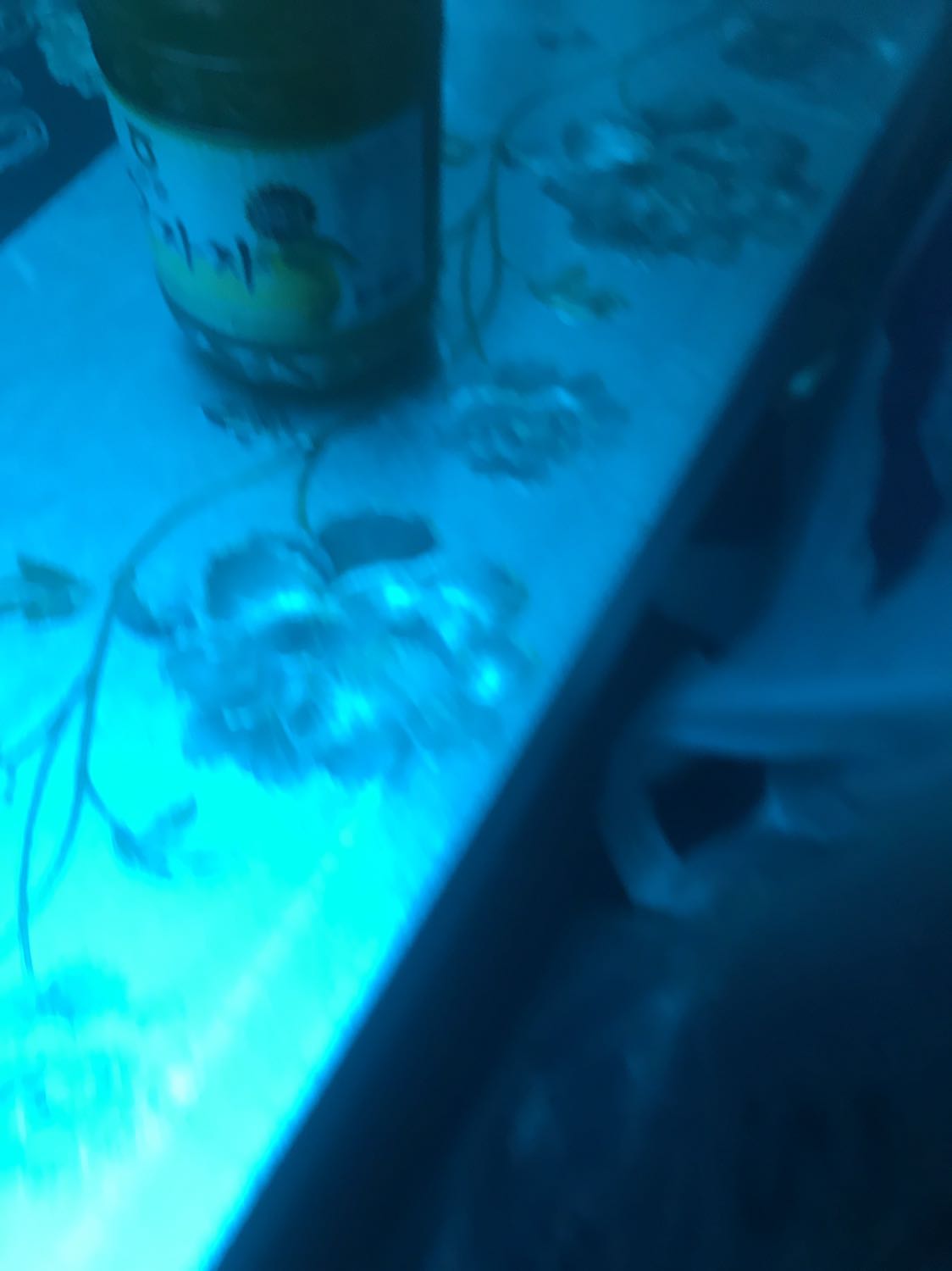 Giao tiết kiệm mà giao nhanh ghê. Đỡ phải xếp hàng tốn thời gian còn được mua giá hời nữa chứ